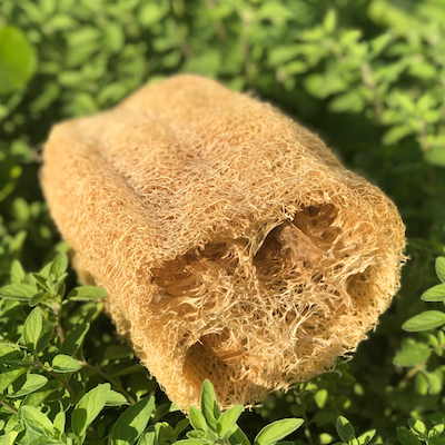 Loofah Bath Sponge